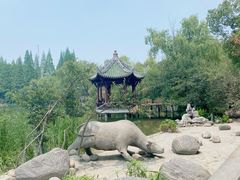 -棠湖公园