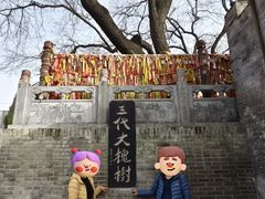 -大槐树寻根祭祖园
