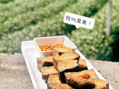 -野蔓果·山野菜(西湖景区·龙井茶田店)