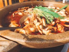 -都江堰石锅鱼
