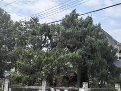 -东天目山风景区