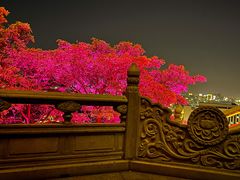 -福神岗公园