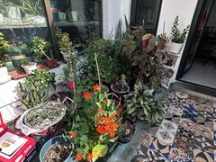 -北京龙庆四季香农家饭庄·灶台鱼·碳烤虹鳟鱼(龙庆峡店)