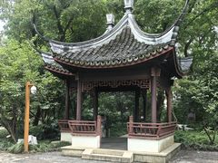 -上海醉白池公园