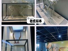 -广东中医药博物馆