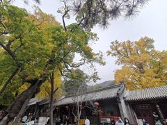 -潭柘寺景区