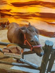 -酷嗒动物文化乐园(cutezoo西溪乐天城店)