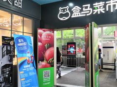 门面-盒马鲜生(红莲店)