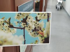 -中国药科大学（江宁校区）-图书馆