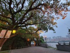 -江心屿景区