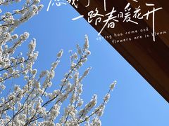 -长春净月潭风景名胜区