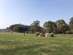 -昆山城市生态森林公园