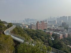 -福道