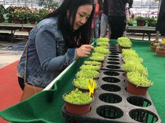 -西部兰花园生态园