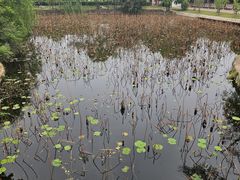 -东坡赤壁风景名胜区
