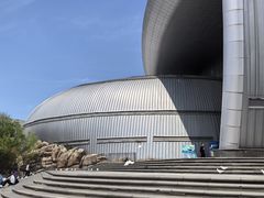-烟台海昌鲸鲨海洋公园