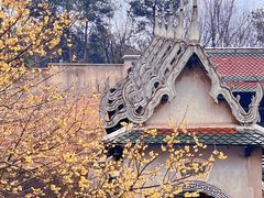 -报恩禅寺