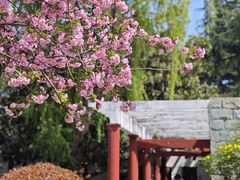 -洛阳市隋唐城遗址植物园