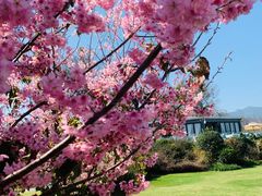 -福建鲤鱼洲酒店