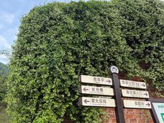 -天姥山景区