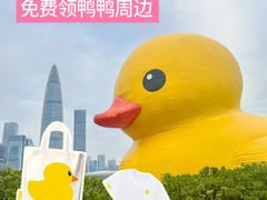 -深圳人才公园