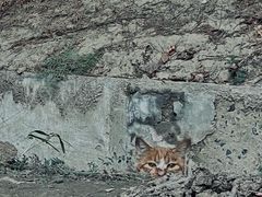 -南翠屏公园