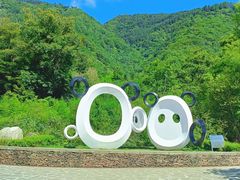 -卧龙中华大熊猫苑神树坪基地