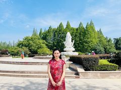 -水杉园