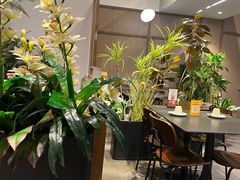 -万达广场(泰安泰山店)