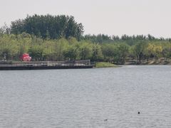 -东郊湿地公园