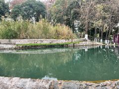 -成都市活水公园