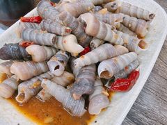 -贞姨美食·老字号海鲜大排档