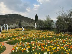 -名花谷生态庄园