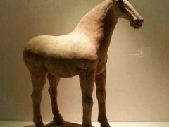 -宁夏博物馆