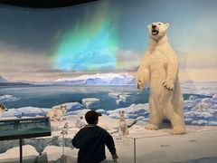 -陕西自然博物馆