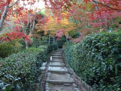 -常寂光寺