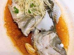 清蒸海鲈-大笑饭堂(甲子桥店)
