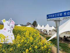 -桤木河湿地公园