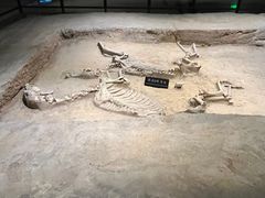 -洛阳周王城天子驾六博物馆