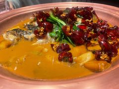 -柿合缘新京菜(国金中心商场店)
