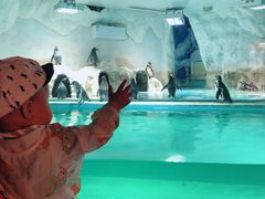 -北戴河圣蓝海洋公园