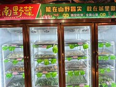 -老滇山寨•云南特色菜•地方菜•民族风情歌舞表演(金碧店)