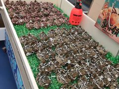 -盒马X会员店(上海森兰商都店)