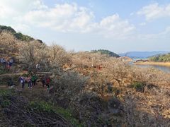 -广州市流溪河国家森林公园