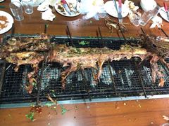 -三圣花乡旅游区