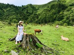 -硗碛藏寨·神木垒景区