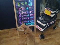 -西元前宠物酒店(郑庄府邸店)