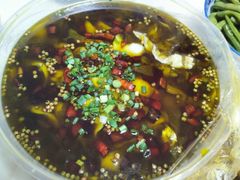 -陈有良尖椒鸡(渝中旗舰店)