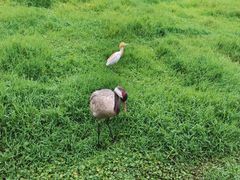 -普洱太阳河森林公园