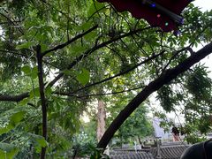-Santoor 萨都里印度餐厅(北锣鼓巷店)